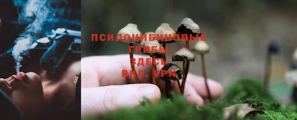 круглые Алексин