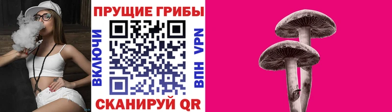 Псилоцибиновые грибы MAGIC MUSHROOMS ссылка на мегу ССЫЛКА Павлово