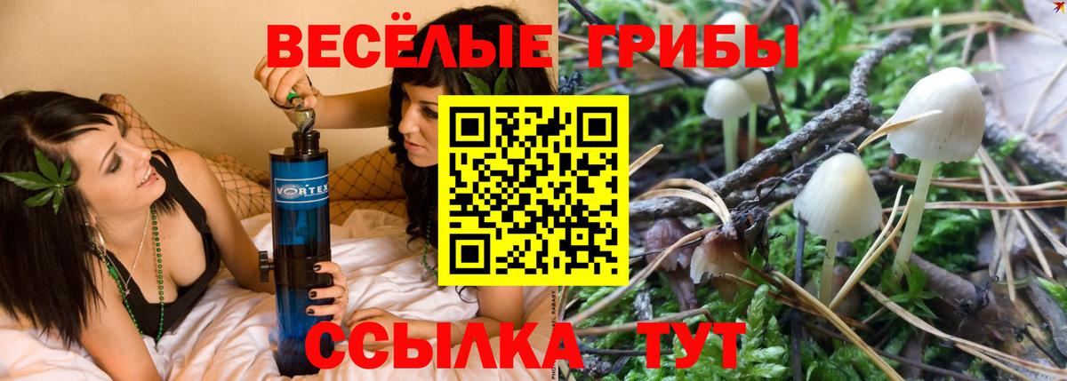 Псилоцибиновые грибы ЛСД Павлово